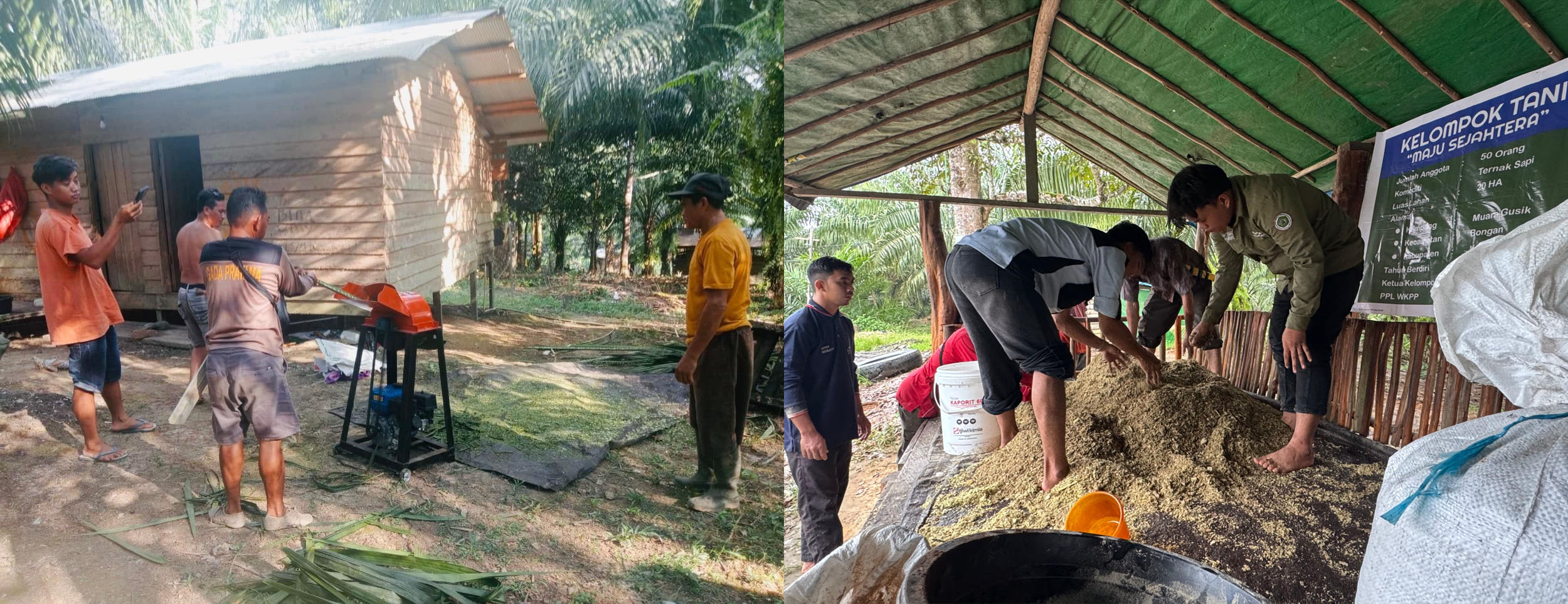 Transformasi Limbah Sawit Jadi Pakan Sapi: PKM Unmul Dorong Inovasi dan Kemandirian Peternak Muara Gusik