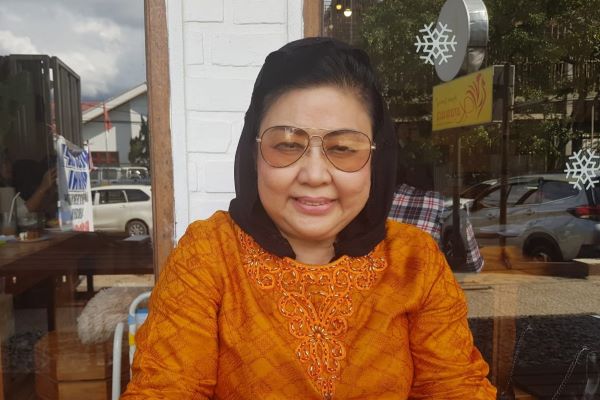 DR. HJ. Meiliana, SE, MM Pakar Kelembagaan